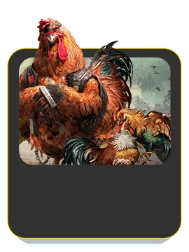 Trang chủ PG88 36 Cá cược Đá gà pg88